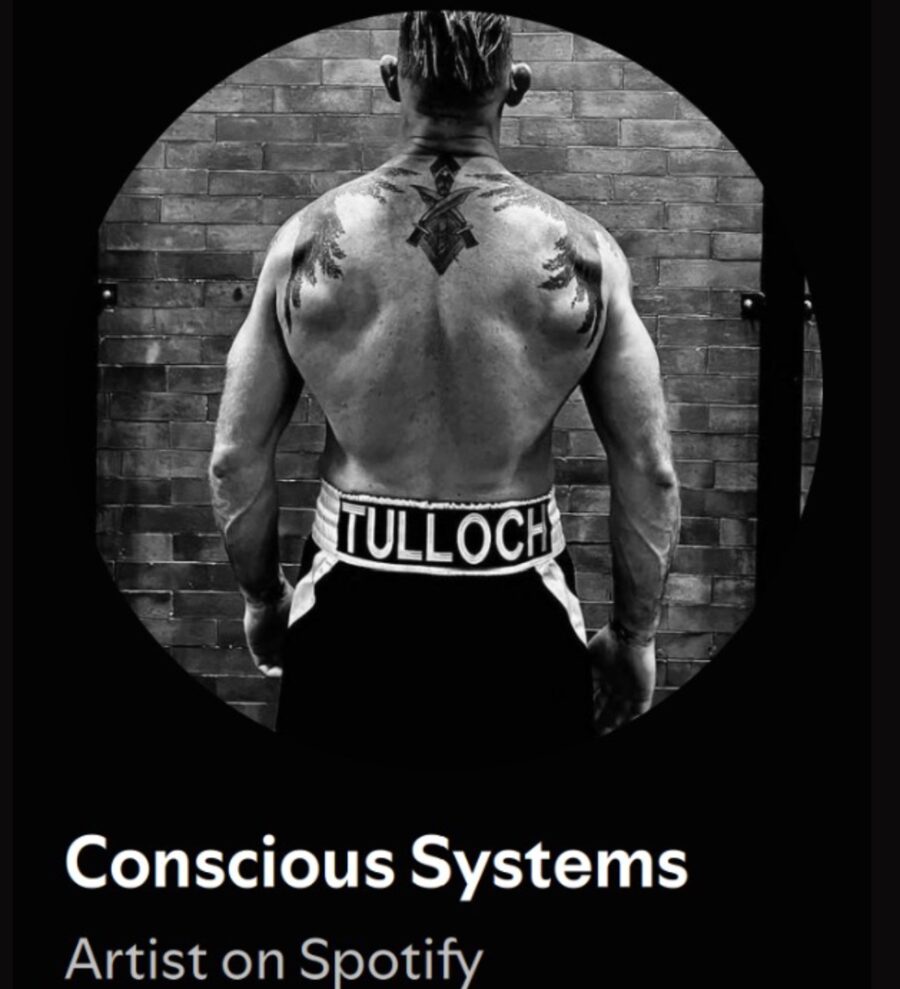Conscious Systems, artist on Spotify