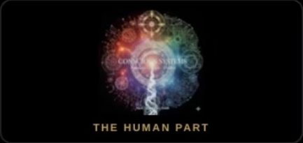 Conscious Systems, The Human Part