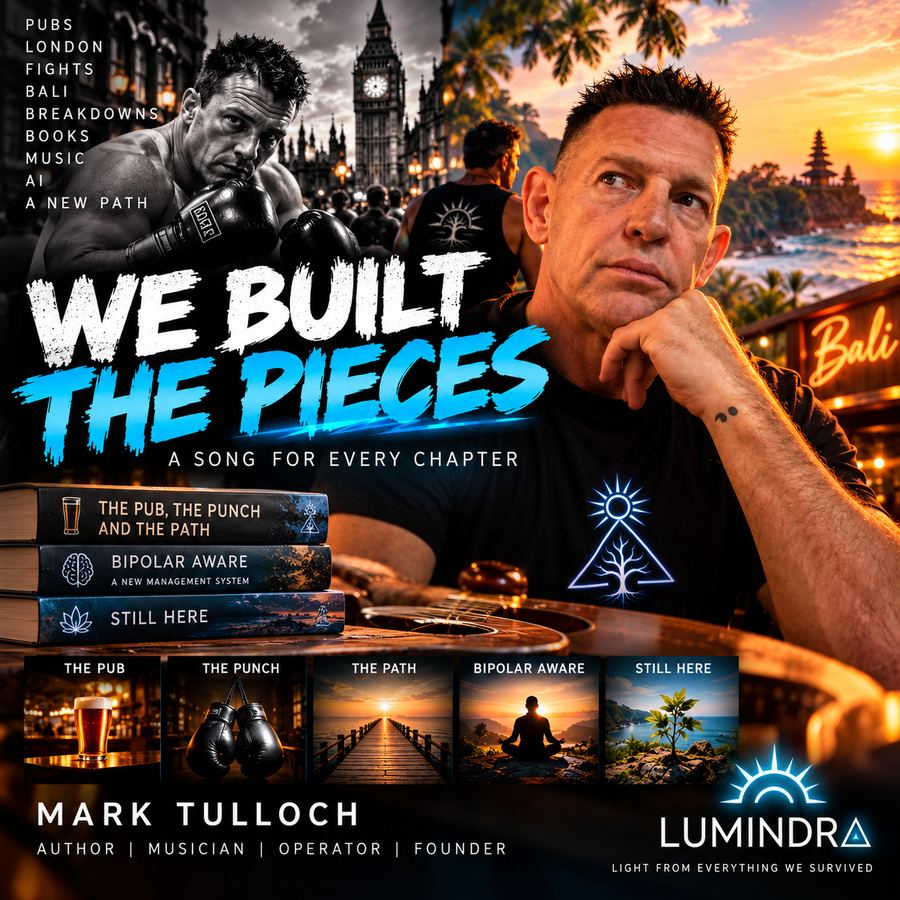 We Built The Pieces cover